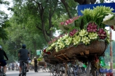 The beautiful flowers of Vietnam -LOTUS,PEACH & APRICOT BLOSSOM...