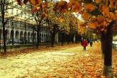 Vietnam – Paris autumn photo contest, 2013 